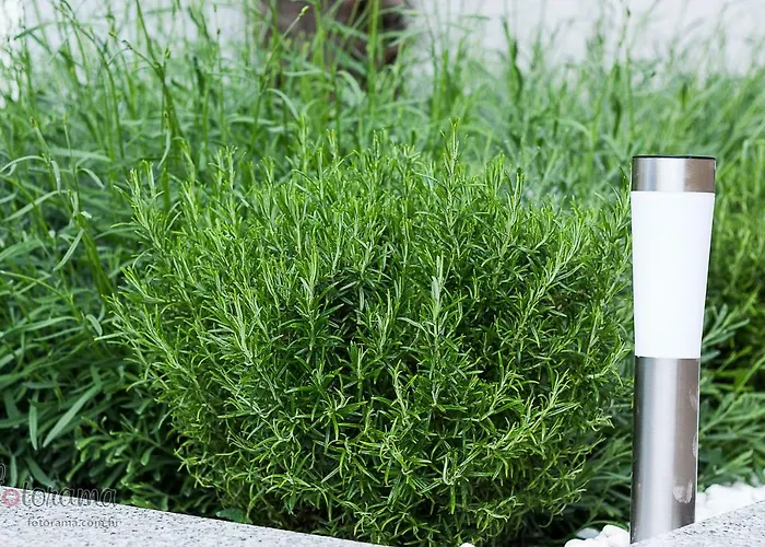 Apartamento Christina Crikvenica